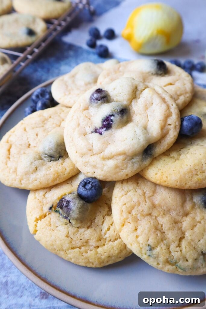 white plate with lemon blueberry cookies with blueberries