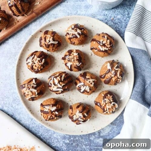 white plate with various biscoff balls topped rolled in crushed biscoff cookies and topped with chocolate drizzle and toasted coconut
