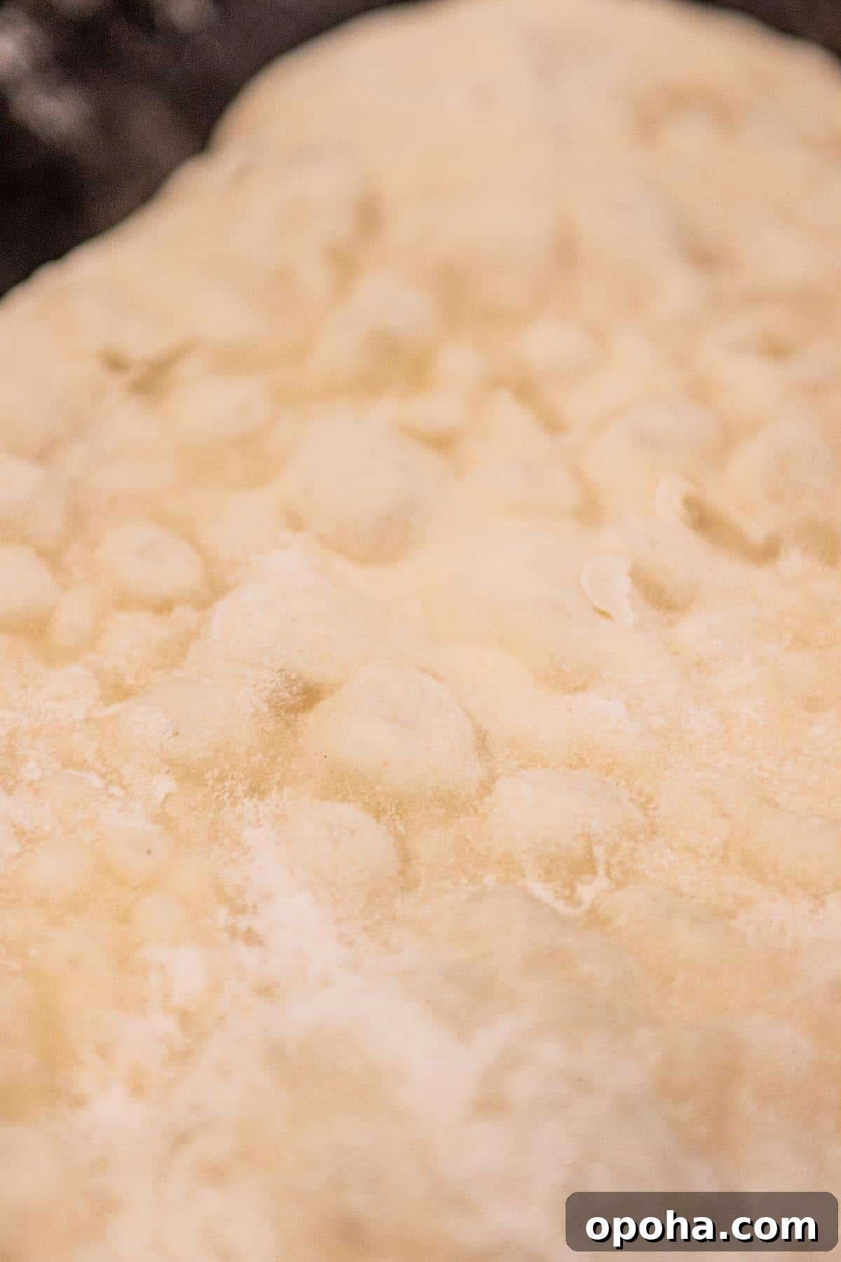 Sourdough Discard Naan Recipe: Crispy, Chewy Flatbread 7 A piece of naan cooking on a cast iron skillet.
