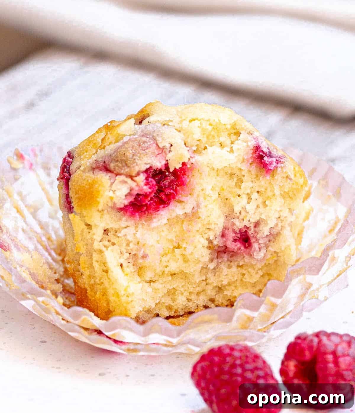Quick Raspberry Muffins Recipe — Light, Tangy, Perfect for Brunch 3 Half raspberry muffin in paper liner on white plate, fresh raspberries around.