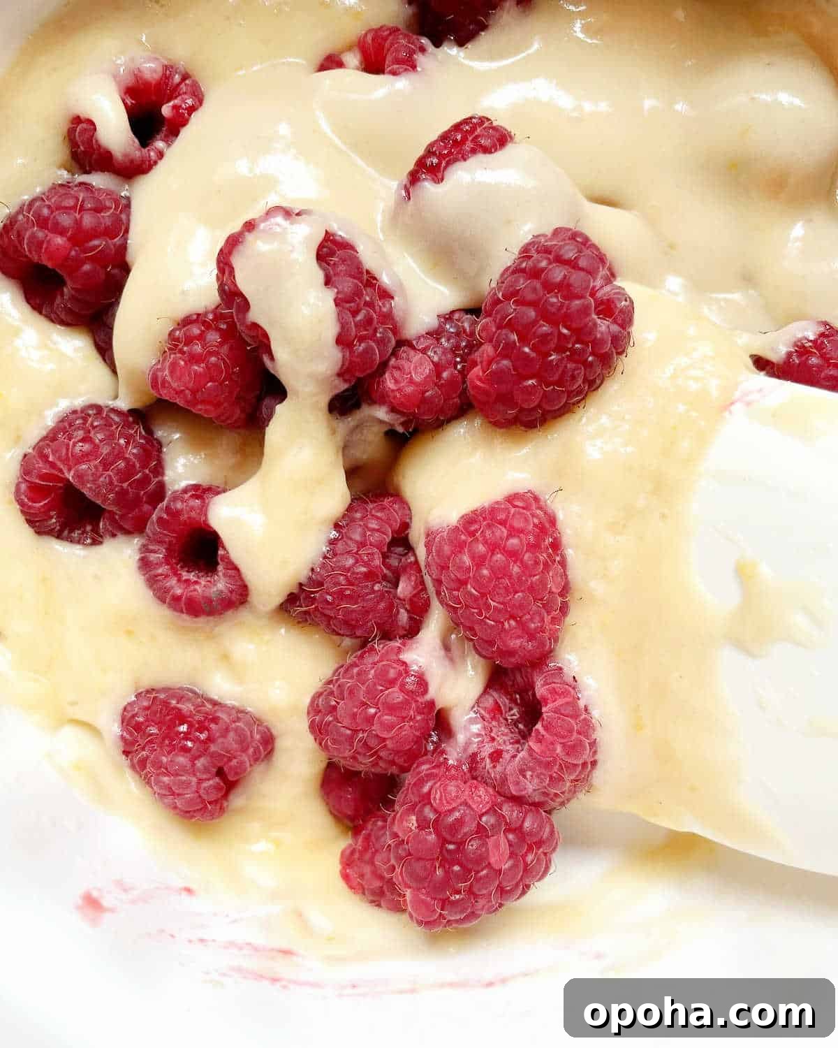 Quick Raspberry Muffins Recipe — Light, Tangy, Perfect for Brunch 8 Folding in fresh raspberries into muffin batter with a white spatula.