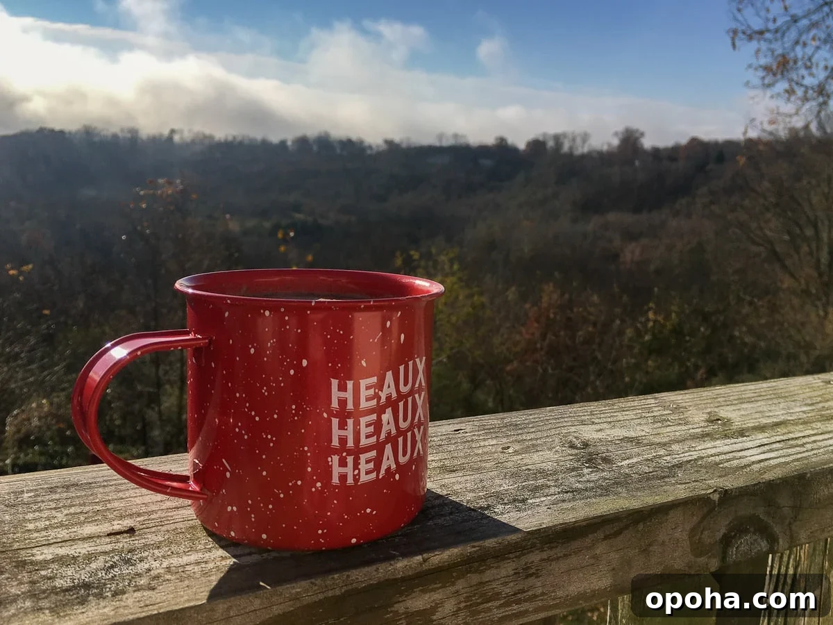 Homemade Mocha Coffee Bombs: Decadent Hot Chocolate Surprise 8 A red mug of cocoa on a porch overlooking the woods.