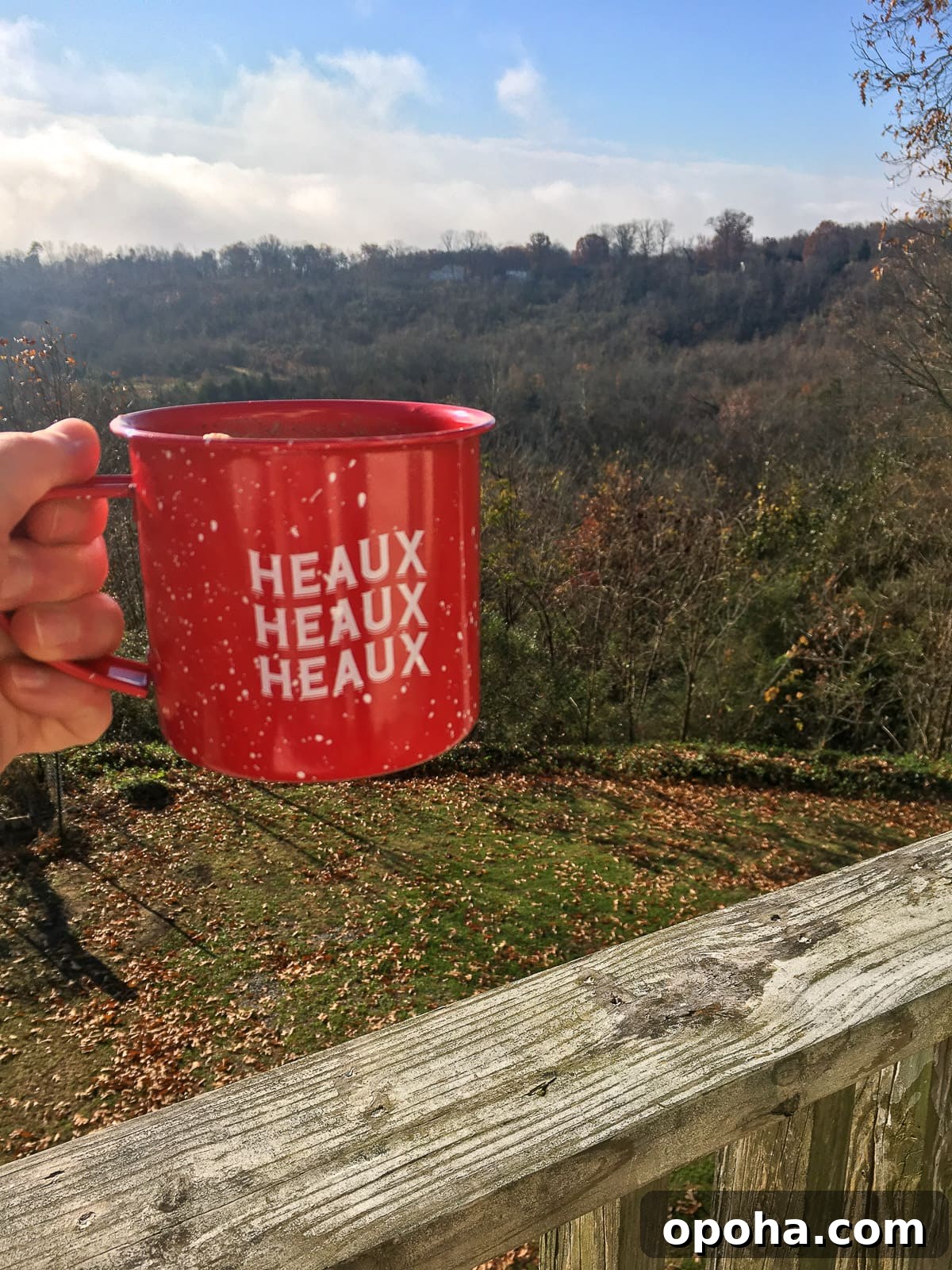 Homemade Mocha Coffee Bombs: Decadent Hot Chocolate Surprise 9 A hand holding up a red mug of cocoa on a porch overlooking the woods.