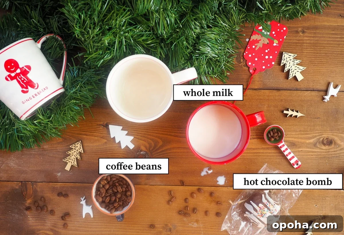 Homemade Mocha Coffee Bombs: Decadent Hot Chocolate Surprise 3 The ingredients in hot chocolate bomb mocha coffee before heating, laid out and labeled.