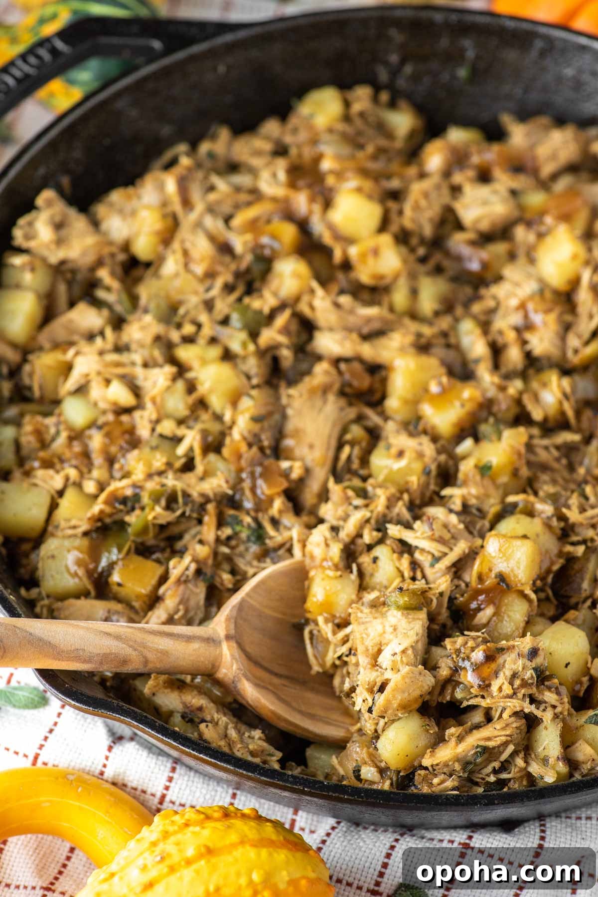 spoon dipped in turkey hash
