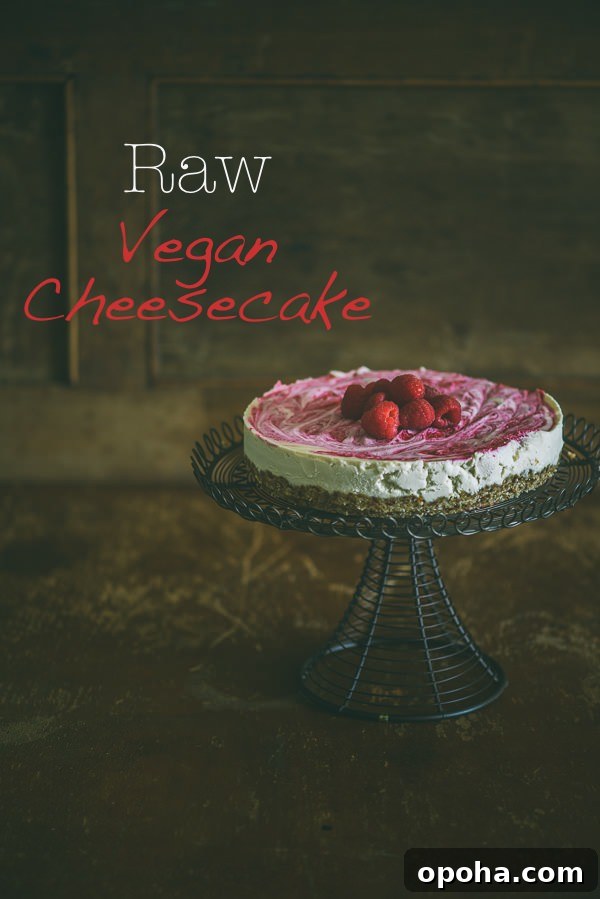 0113_raw_vegan_cheesecake_001-a