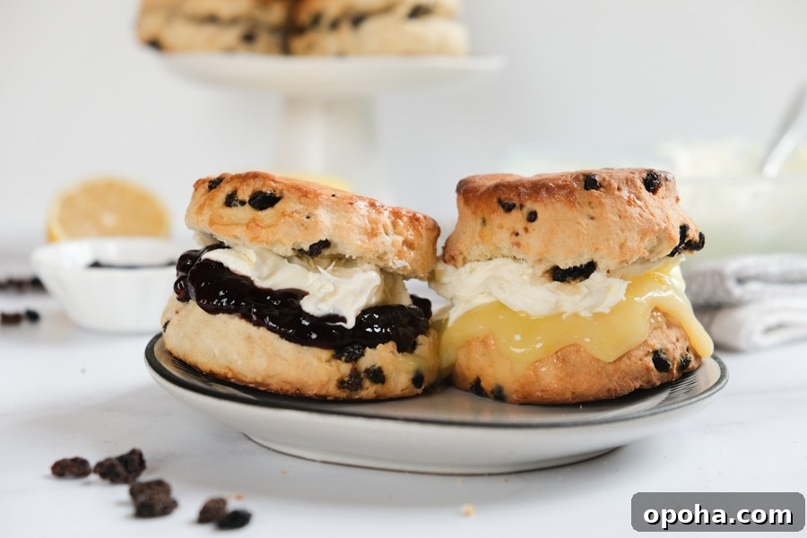 British scones with lemon curd, jam and clotted cream
