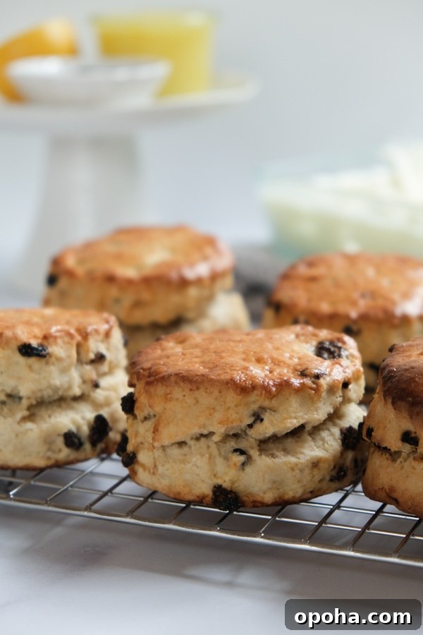 British scones