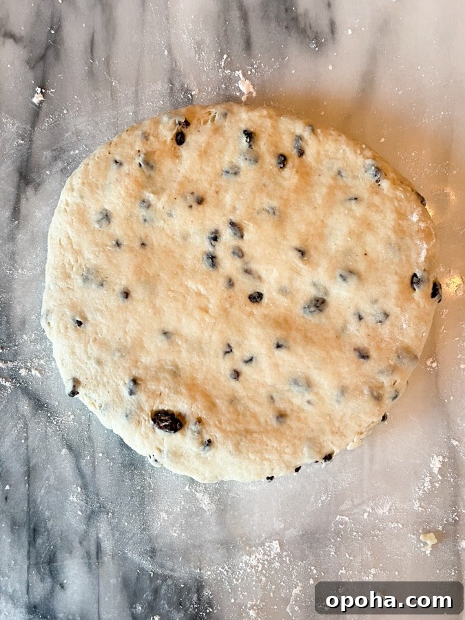 shape dough into circle
