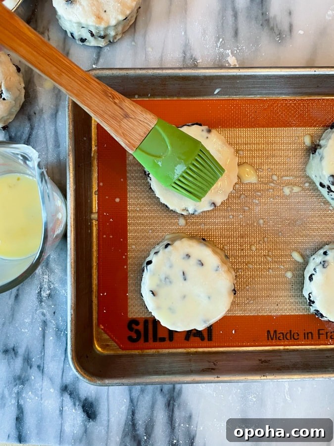 brush tops of scones