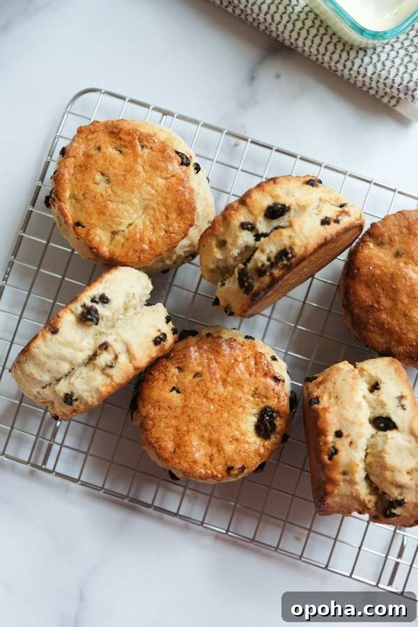 baked scones