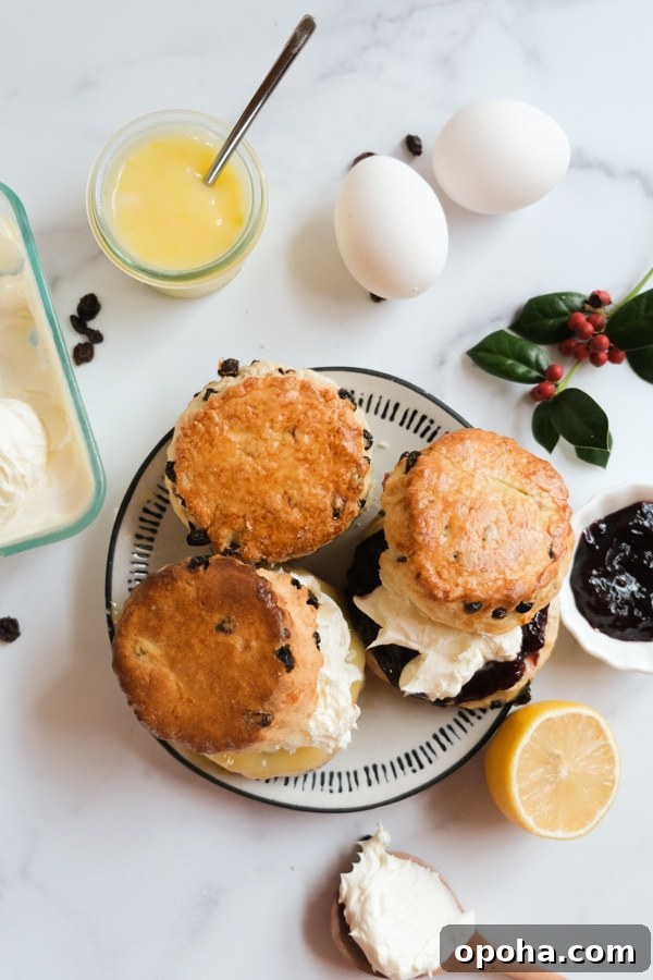 British Currant Scones with cream and jam on plate