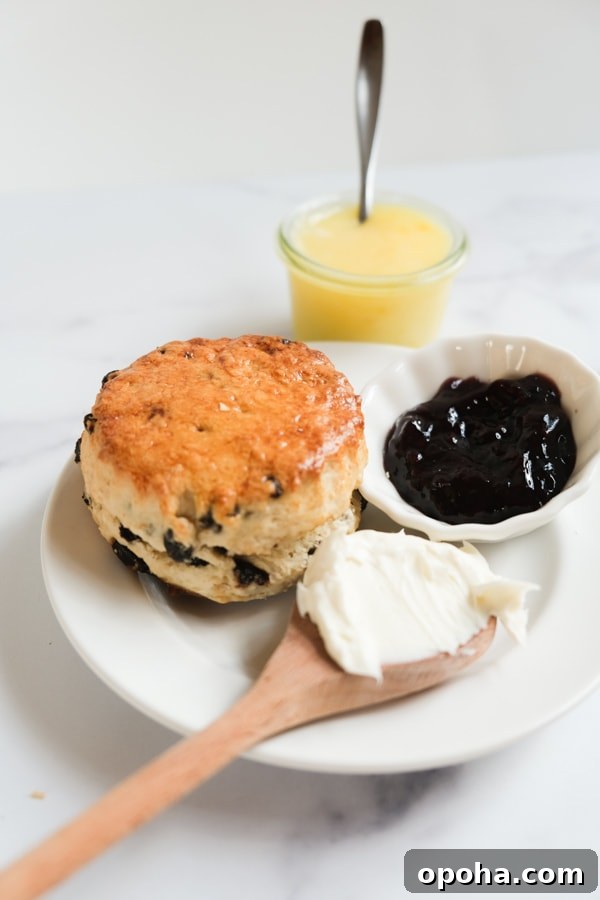 scone with jam and clotted cream