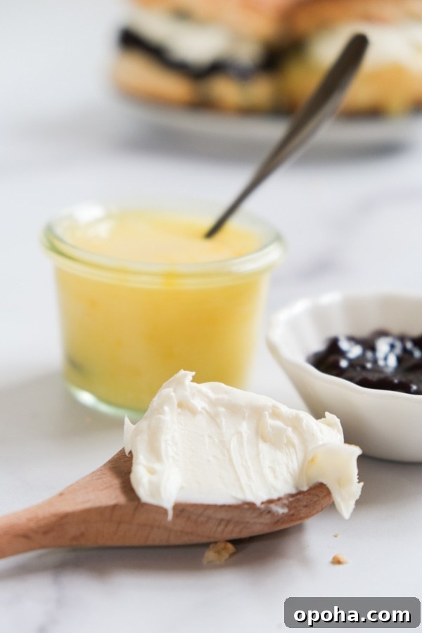 Cream, lemon curd and plum butter