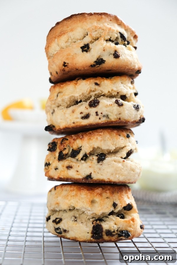 stack of British Currant Scones