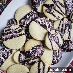 dark chocolate peppermint cookies