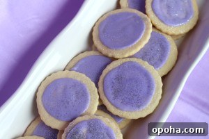 Purple and Silver Dessert Table Ideas for Parties and Events 5 IMG_8580a