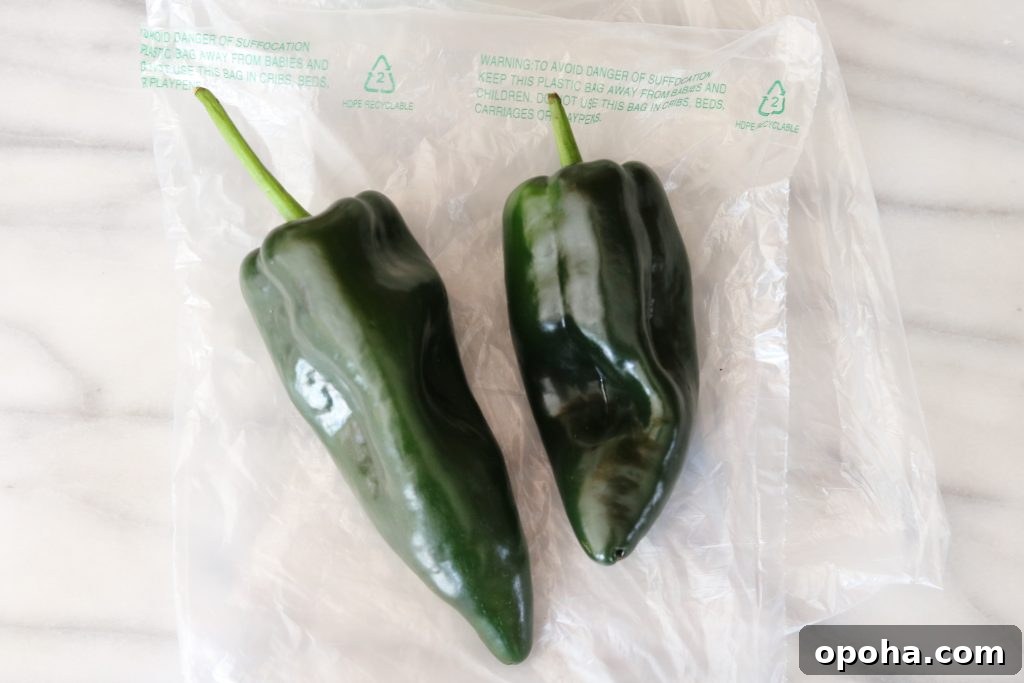 How to Roast Chiles at Home: Simple Steps for Smoky Flavor 2 poblano peppers on bag