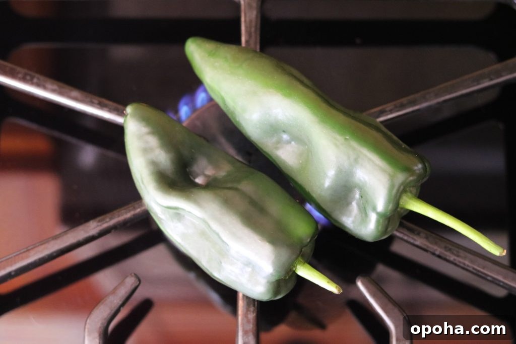 How to Roast Chiles at Home: Simple Steps for Smoky Flavor 3 how to roast chiles