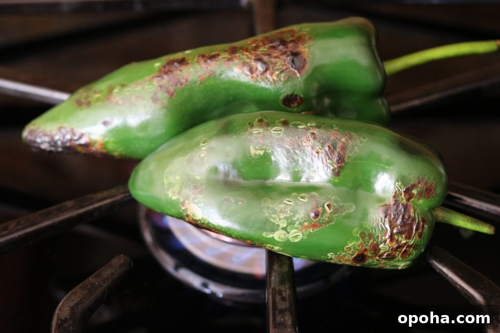 How to Roast Chiles at Home: Simple Steps for Smoky Flavor 5 poblanos charring