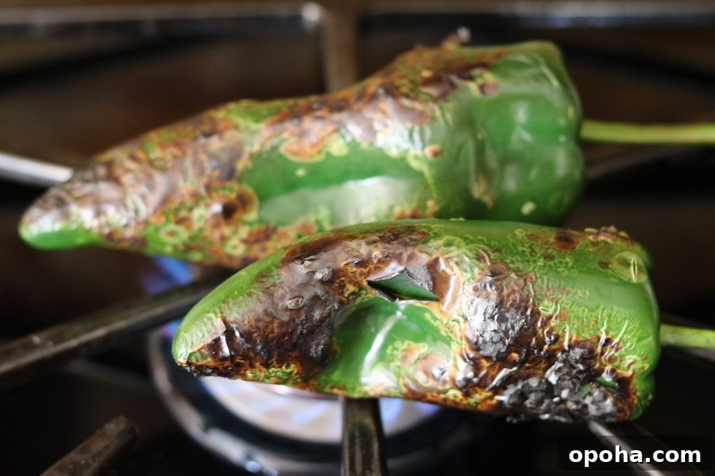 How to Roast Chiles at Home: Simple Steps for Smoky Flavor 6 roasting poblanos on stovetop