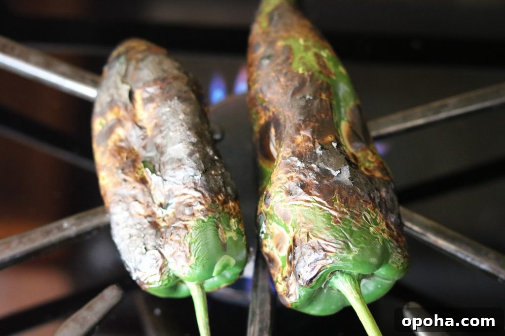 How to Roast Chiles at Home: Simple Steps for Smoky Flavor 7 charred poblanos on stovetop