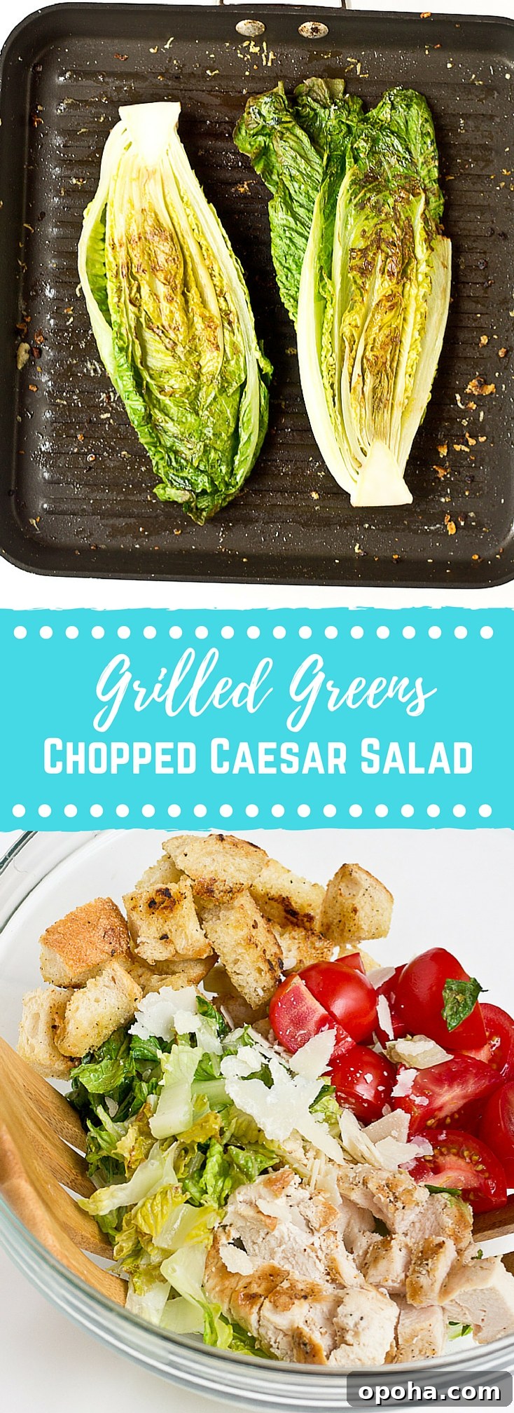 Grilled Romaine Chicken Caesar Chopped Salad Recipe 9 Finished Grilled Greens Chicken Caesar Chopped Salad plated