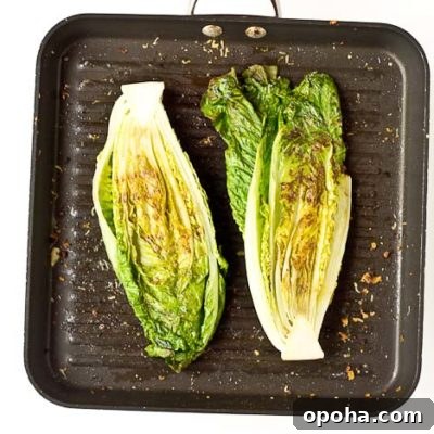Grilled Greens Chicken Caesar Chopped Salad portrait