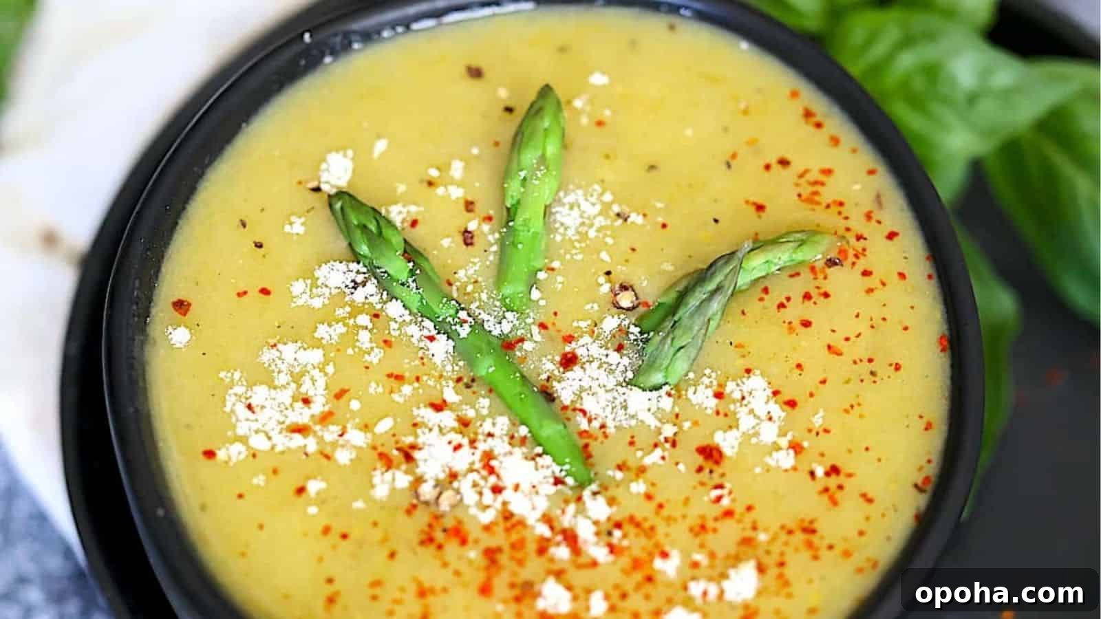 Instant Pot Asparagus Soup