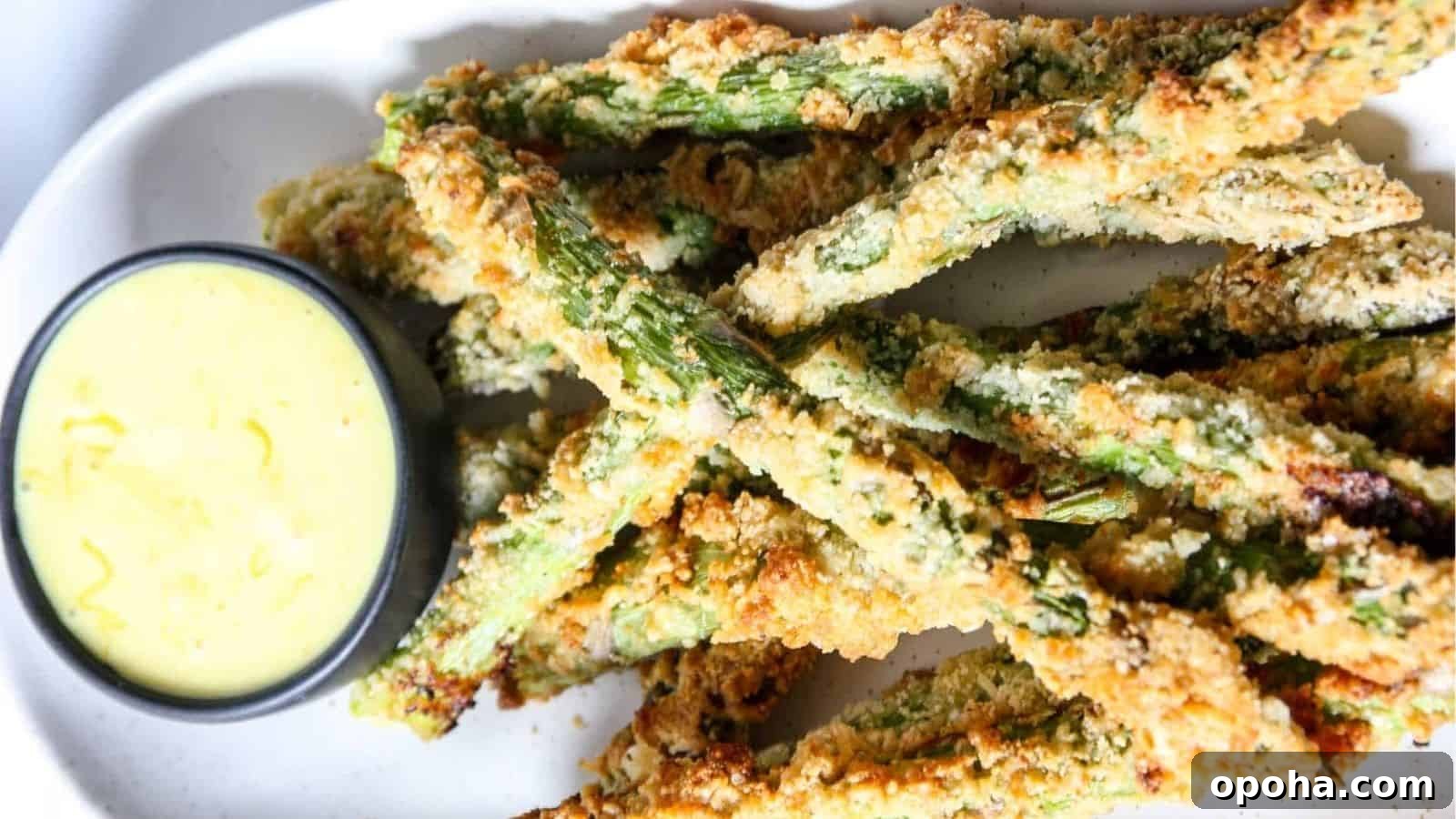 Air Fryer Asparagus Fries