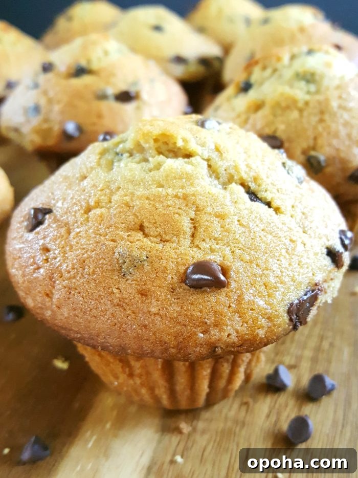 The Best Bakery Style Sour Cream Chocolate Chip Muffins from scratch - Moist homemade jumbo muffins with big tops made with sour cream (or greek yogurt), brown sugar, & no buttermilk. Simple & easy recipe, perfect for breakfast. | Beat Bake Eat
