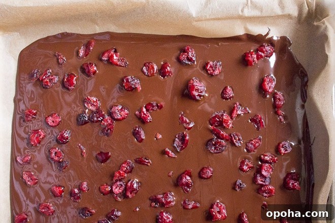 Cranberry Orange Dark Chocolate Bark Recipe for Holidays 7 Cranberry Orange Dark Chocolate Bark