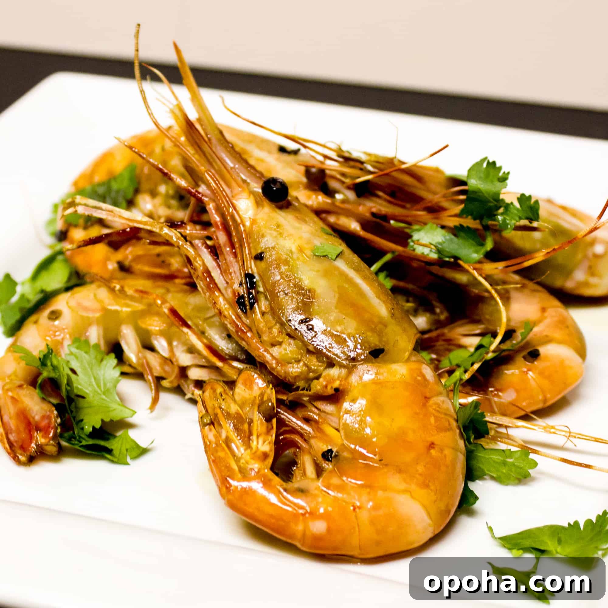 Easy to prepare king prawns cooked in a skillet with Thai chilies, garlic and oil with a cilantro garnish. Australian and Asian seafood similar to shrimp.