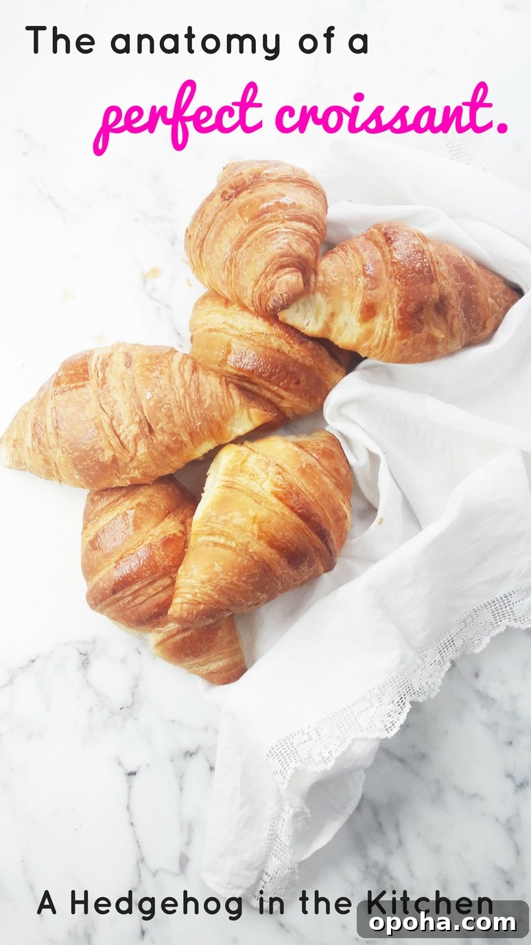 The 5 essential characteristics of a perfect croissant.