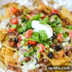 Air Fryer Chicken Nachos with Creamy Queso 12 img 477 11