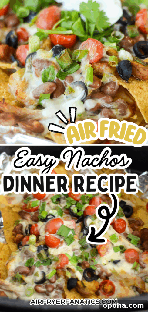 Air Fryer Chicken Nachos with Creamy Queso 13 easy air fryer nachos with queso