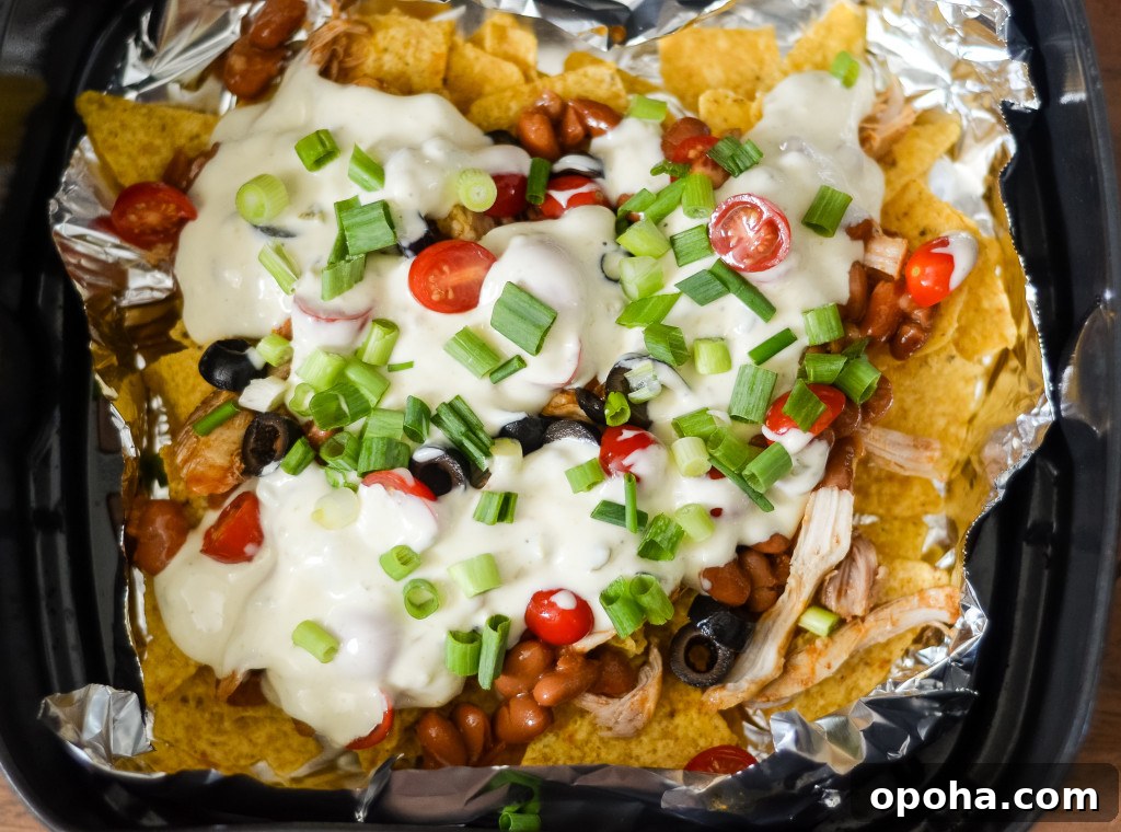 Air Fryer Chicken Nachos with Creamy Queso 3 air fryer nachos