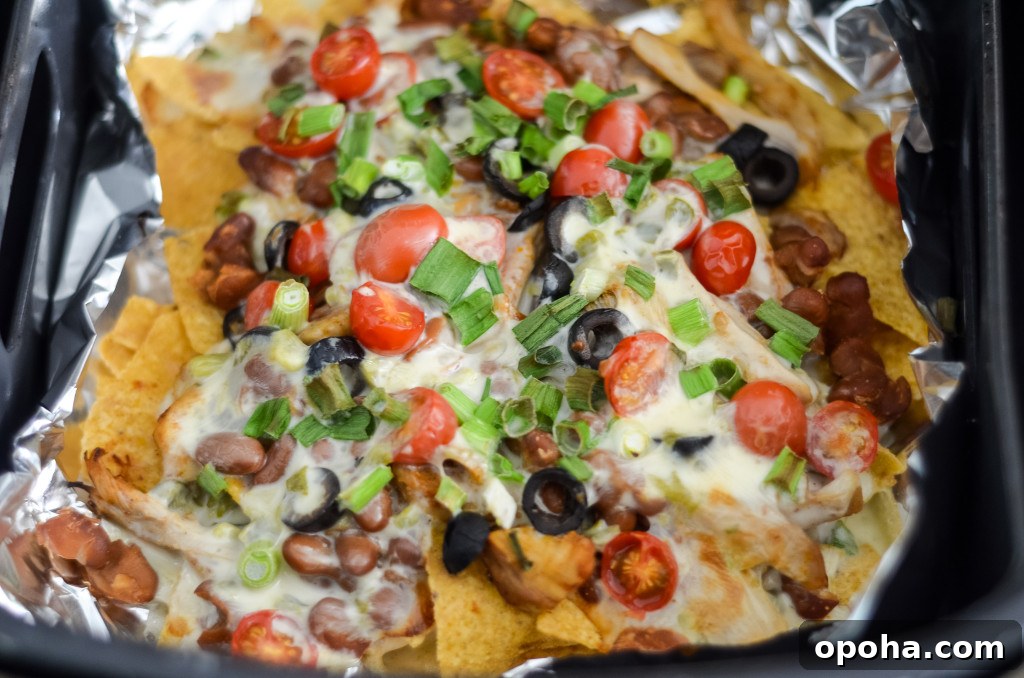 Air Fryer Chicken Nachos with Creamy Queso 4 air fryer nachos