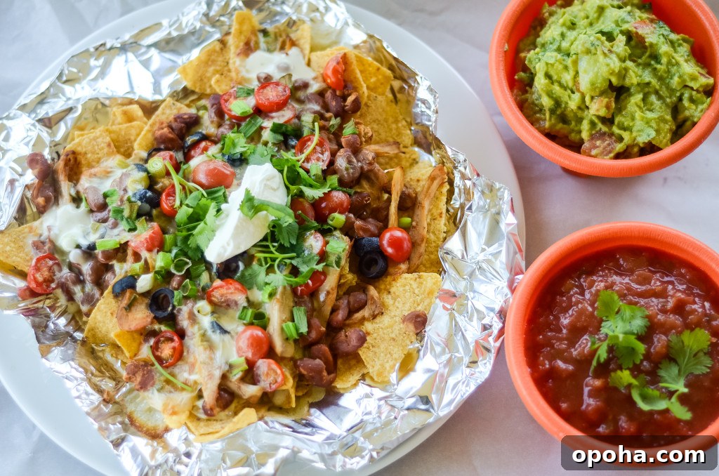 Air Fryer Chicken Nachos with Creamy Queso 5 air fryer nachos