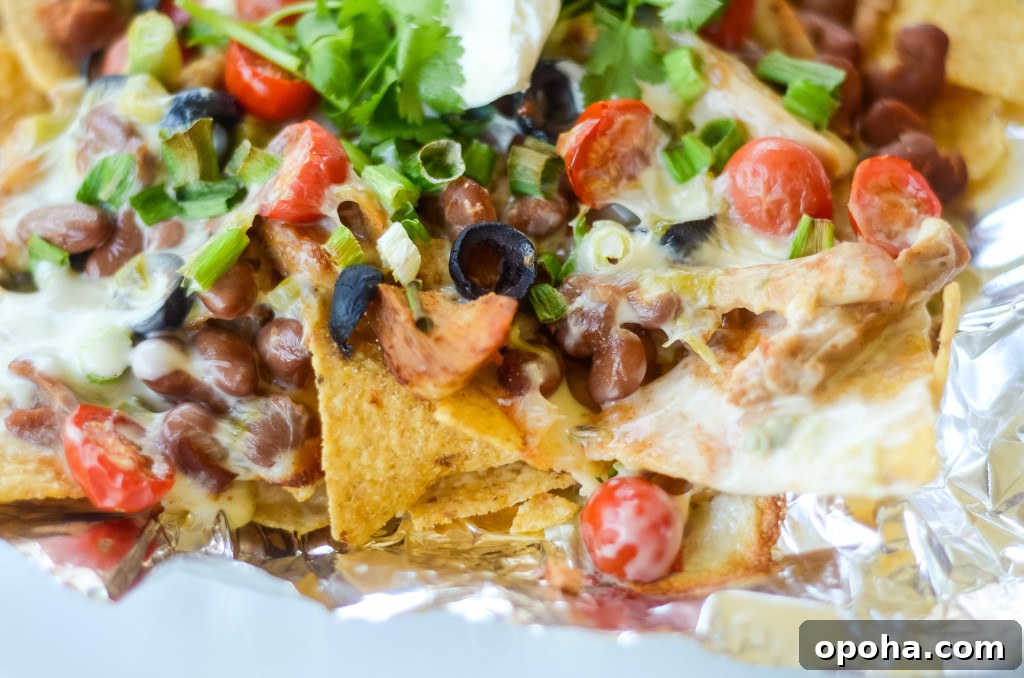 Air Fryer Chicken Nachos with Creamy Queso 6 air fryer nachos