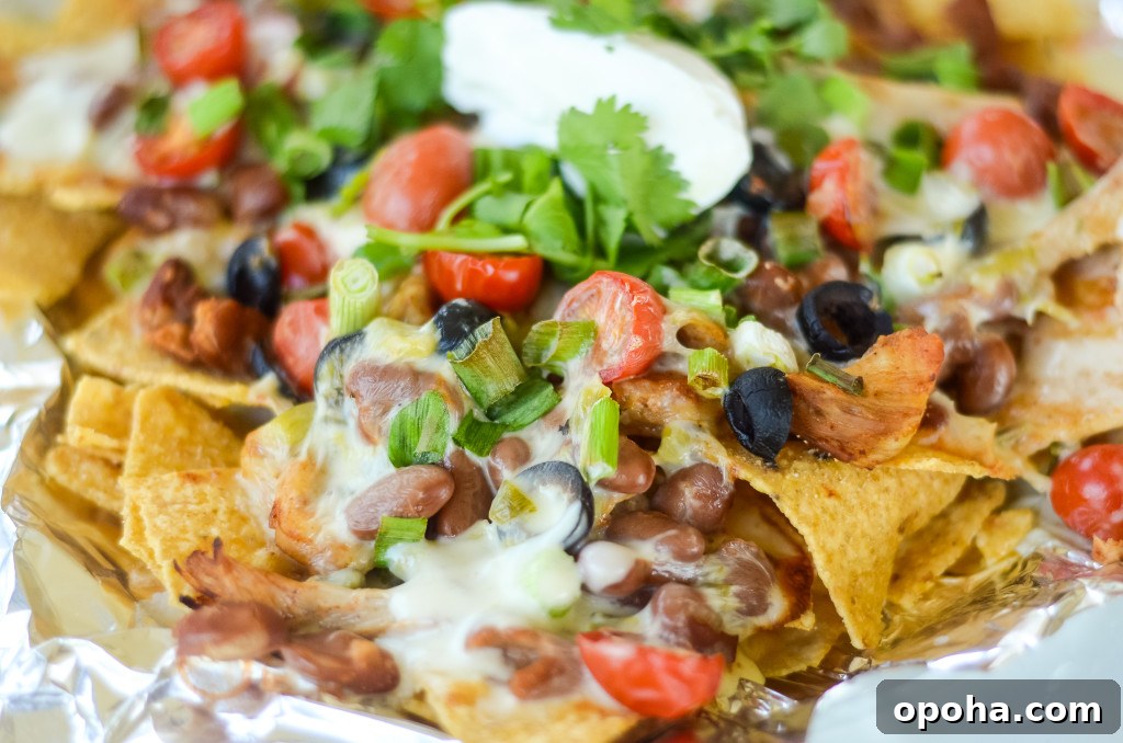 Air Fryer Chicken Nachos with Creamy Queso 7 air fryer nachos