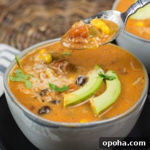 Instant Pot & Slow Cooker Taco Soup Recipe for Busy Weeknights 7 img 479 6