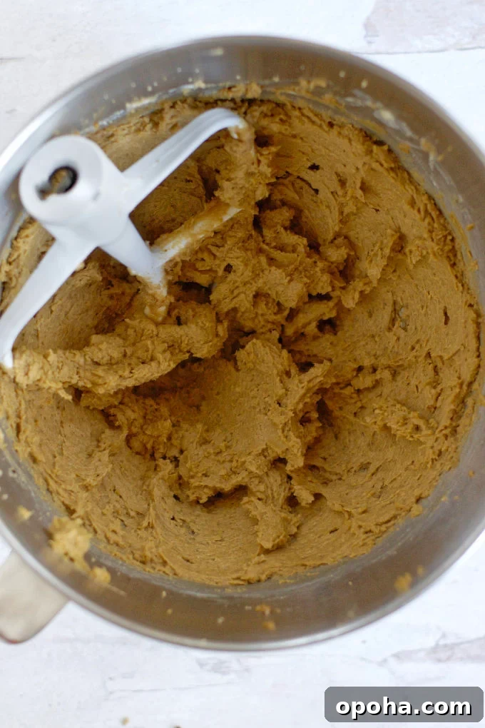 Soft Gingerbread Sugar Cookies Recipe for Tender Holiday Cookies 5 creamed butter, sugar, molasses and egg in a mixing bowl