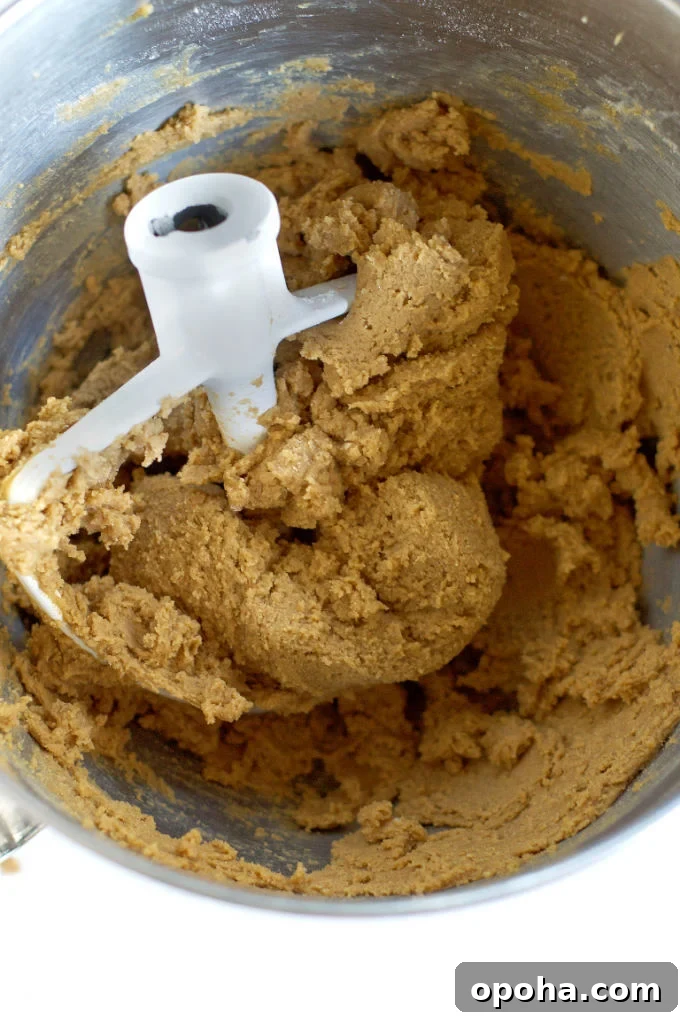 Soft Gingerbread Sugar Cookies Recipe for Tender Holiday Cookies 6 finished cookie dough in mixing bowl showing how it clings to the paddle