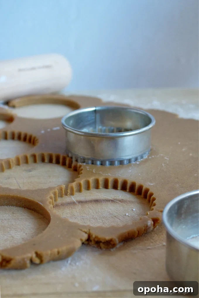 Soft Gingerbread Sugar Cookies Recipe for Tender Holiday Cookies 7 cookie cutter in rolled out dough