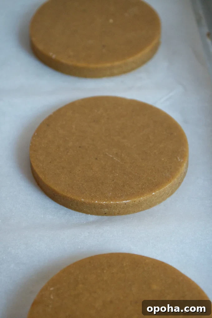 Soft Gingerbread Sugar Cookies Recipe for Tender Holiday Cookies 8 unbaked gingerbread sugar cookie dough on a lined baking pan