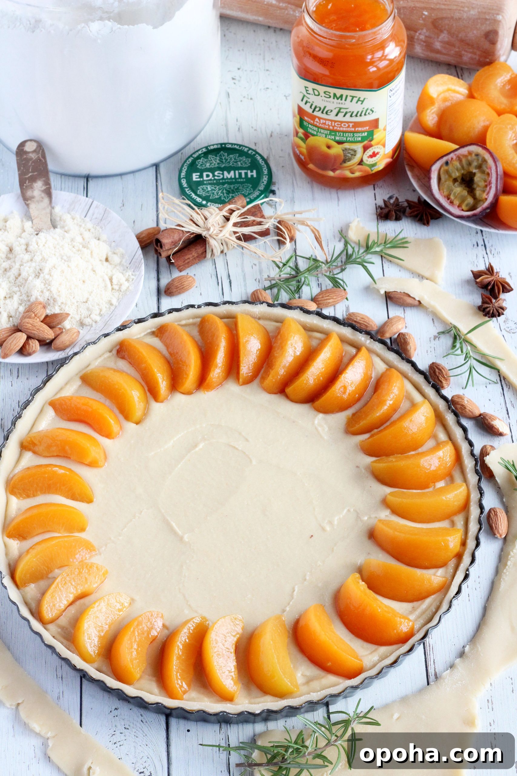 Apricot Almond Tart with Frangipane Filling 9 assembling apricot tart