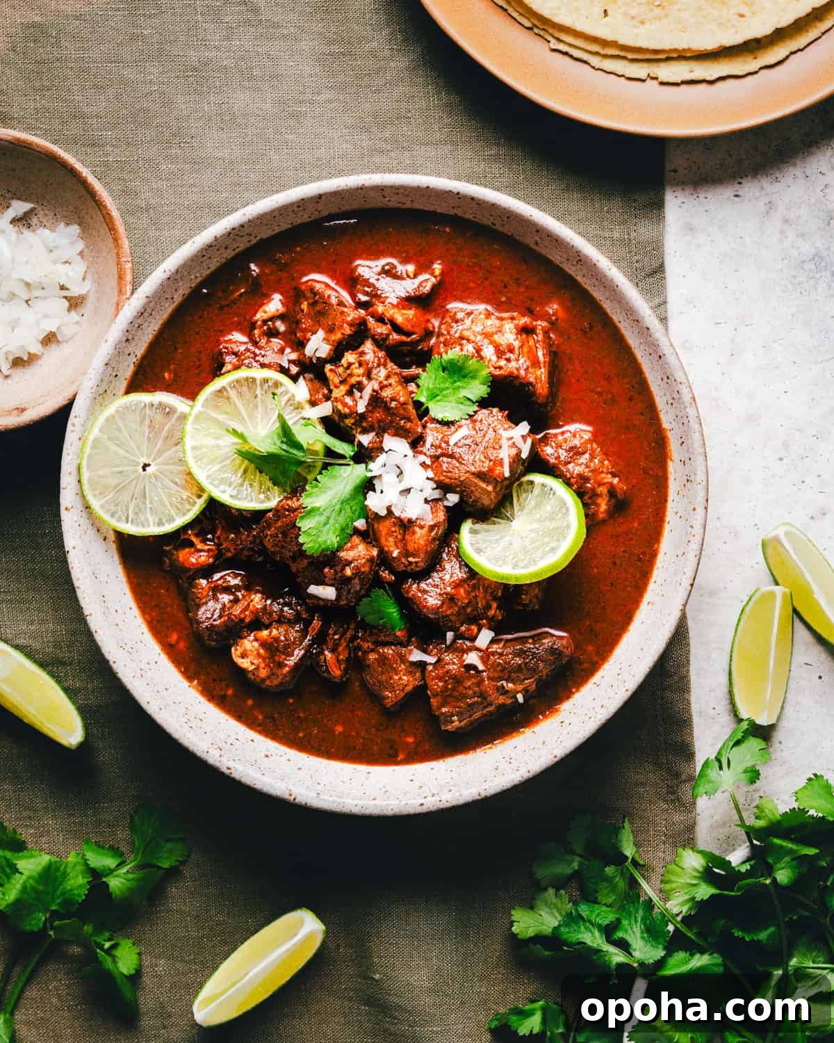 Authentic New Mexican Carne Adovada Recipe 14 A bowl of Carne Adovada garnished with lime slices and cilantro sits on a green cloth.