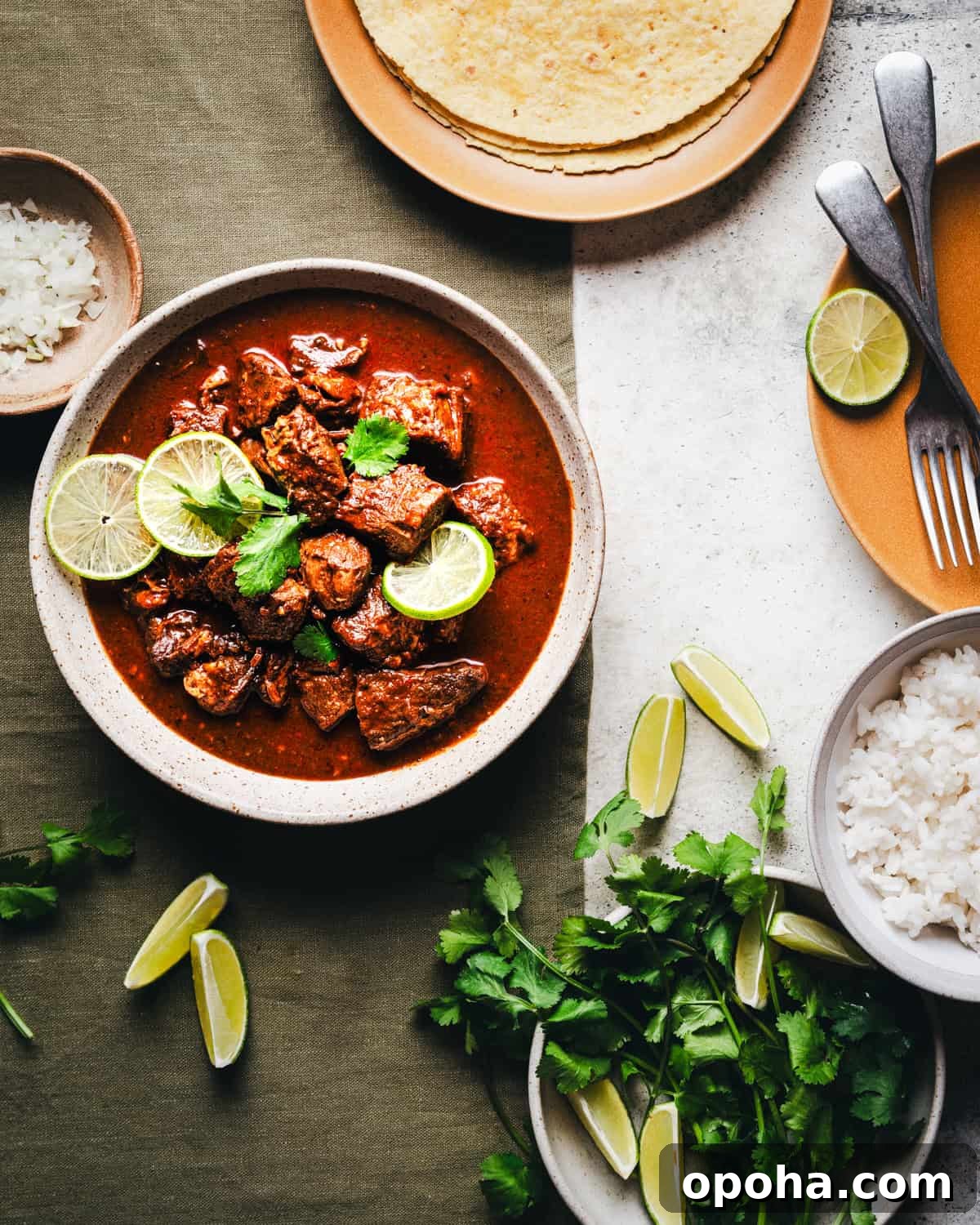 Authentic New Mexican Carne Adovada Recipe 16 A bowl of Carne Adovada garnished with lime slices and cilantro is surrounded by lime wedges, a bowl of rice, a plate of tortillas, and scattered cilantro leaves.