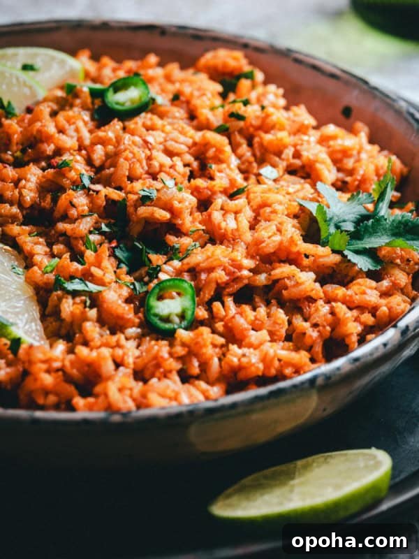 A bowl of vibrant Mexican brown rice garnished with slices of lime, jalapeño pepper, and fresh cilantro.